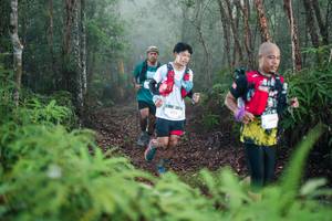 BIB: 
                            <button type="button" onclick="openModal(28515668)" class="btn btn-primary btn-sm float-right btn-popup" data-toggle="modal" data-target=".modal-high-quality">
                        <i class="fas fa-shopping-cart"></i> Add to Cart
                    </button>
                                            <button type="button" onclick="isThisMe(28515668, true)" class="btn btn-success btn-sm float-right btn-popup btn-isme hidden" data-toggle="tooltip" data-placement="bottom" title="นี่คือรูปของคุณใช่ไหม คลิกที่นี่เพื่อเอาเข้าอัลบั้ม">
                        <i class="fas fa-plus"></i> Add to album
                    </button>
                    <button type="button" onclick="isThisMe(28515668, false)" class="btn btn-warning btn-sm float-right btn-popup btn-isnotme hidden">
                        <i class="fas fa-ban"></i> Remove from album
                    </button>